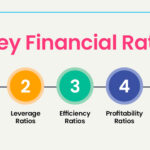 Key financial ratios